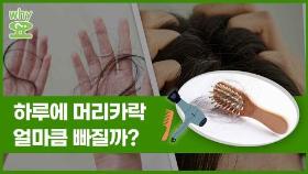 [Why요?] 하루에 머리카락 얼마큼 빠질까?