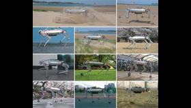 '해변도 거침없이 달린다' KAIST, 고속보행 로봇 '라이보' 개발