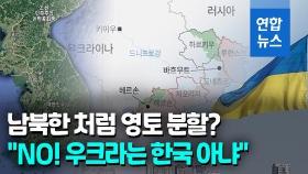 [영상] 남북한식 분할 시나리오? 우크라도, 러시아도 