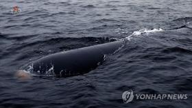 북한 핵어뢰 '해일' 위력은?…전문가 