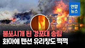 [영상] 경포해변 펜션도, 도롯가 카페도…화마 속 8시간 강릉