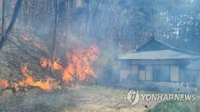 [속보] 강릉 초속 29m 태풍급 강풍속 산불…주민대피 재난안전문자 발송