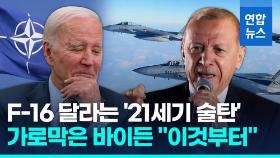 [영상] 'F-16 구매' 꺼낸 에르도안…바이든 