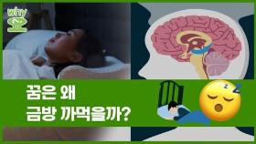 [Why요?] 꿈은 왜 금방 까먹을까?