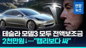 [영상] 미국 테슬라 모델3 전차종 보조금 전액 혜택…최대 2천만원 '뚝'
