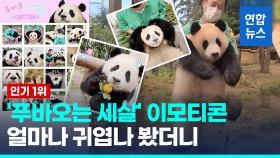 [영상] 아기판다 푸바오 카톡 이모티콘, 출시 하루만에 인기 1위