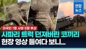 [영상] 코끼리가 사파리 트럭 뒤쫓더니 상아로…80세 여성 관광객 사망