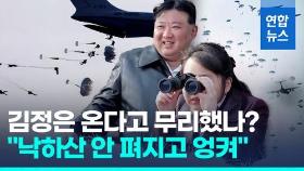 [영상] 김정은 부녀 참관 공수부대 훈련서 추락 사상자 다수 발생