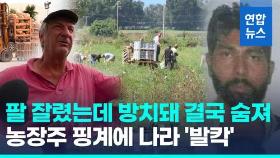 [영상] 일하다 팔 잘리고 방치돼 숨진 인도 노동자…농장주는 '네탓'