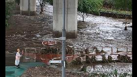 집중호우에 서울 곳곳 나무 쓰러짐·빗길 사고…인명피해 없어