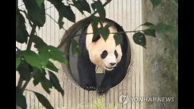 '푸바오 데려와요' 쏟아진 요청…서울시 