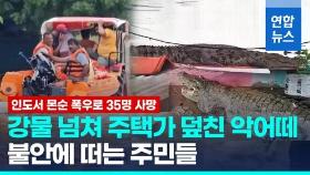 [영상] 주택가에 악어떼 득시글…인도 몬순 폭우로 35명 사망