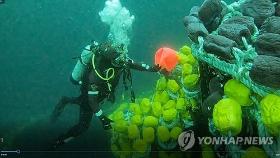 금성호 '골든타임' 24시간…해군 광양함·청해진함도 투입(종합)