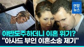 [영상] '야반도주' 시리아 독재자 이혼설…