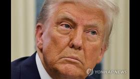 트럼프 '묻지마 관세'…적국·테러단체 패는 법으로 동맹 팬다