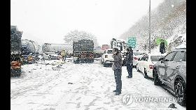 '춘설'에 여객선·항공기 결항 속출…보성서 41중 추돌사고도(종합)