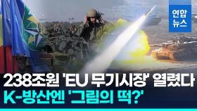 [영상] EU 무기 공동조달 238조원, K-방산 '까다로운 조건' 맞춰야