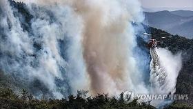 의성산불 '더딘 진화' 축구장 5천811개면적 피해…주민 망연자실(종합)