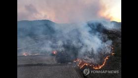 의성군, 산불 확산에 '산수유 마을 축제' 전면 취소