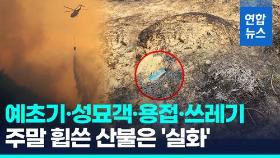 [영상] 영남권 덮친 화마에 공중·지상 총력전…산불 원인은 '실화'