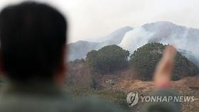 산청·하동 산불 강풍타고 다시 확산…진화율 87%로 소폭 하락(종합2보)