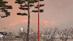 산불확산에 안동·경북북부교도소 3천500명 이감…수용자 대이동(종합)