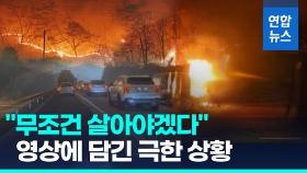 [영상] 