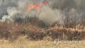 의성서 산불 진화헬기 추락, 조종사 1명 사망…30년된 노후 기종(종합3보)