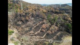 '울주 온양·언양 대형 산불' 피해조사 본격화…이후 복구작업
