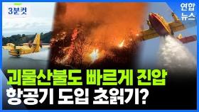 [영상] '헬기로는 역부족'…산불진화용 항공기 도입 제안 주목