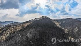 산불 진화로 중앙고속도 재개…서산영덕 북의성IC∼영덕만 통제