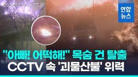 [영상] 불티 하나가 단몇분에 불바다로…시간당 8.2㎞ '괴물산불' 위력