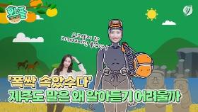 [와플] '폭싹 속았수다'…제주도 말은 왜 알아듣기 어려울까