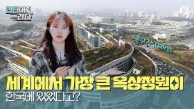 [인턴이간다] 세계에서 가장 큰 옥상정원이 한국에 있었다고?