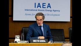 IAEA 수장 