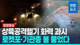 [영상] 해병대 국산 상륙공격헬기 화력 '합격'…로켓포 불 뿜었다