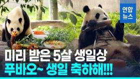 [영상] 