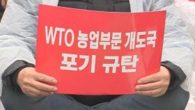 농민들 'WTO 개도국 특혜 포기' 반발 대규모 집회 / 연합뉴스TV (YonhapnewsTV)