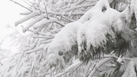 사방이 하얀색…강원 산간은 '겨울 왕국'