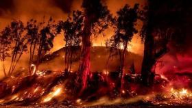 美캘리포니아 남부서 또 대형산불…1,300명 대피 / 연합뉴스TV (YonhapnewsTV)