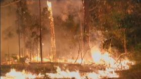 호주 최악의 산불…시드니 최고단계 비상사태 선포 / 연합뉴스TV (YonhapnewsTV)