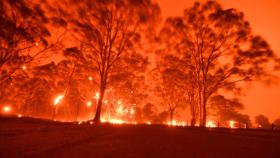 호주 뉴사우스웨일스주, 산불 위기로 국가비상사태 선포
