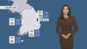 [날씨] 2월 첫 날 공기 탁해…충남·전북 눈발·빗방울