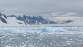 뜨거워지는 지구…남극 사상 첫 영상 20도 기록
