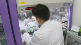 국내서 코로나19 DNA백신 첫 동물 실험