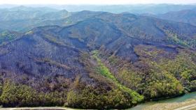 안동 산불 40여시간 만에 진화…산림 800ha 잿더미