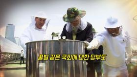 [영상구성] 꿀벌 키우는 국회…'부지런' 다짐도