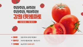 강원도 이번엔 토마토 특판…'41초 매진' 인기몰이