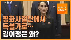 [자막뉴스] 평화 사절단에서 독설가로…김여정은 왜?