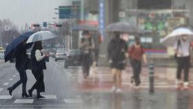 전국 태풍급 비바람…영동 300mm '폭우'